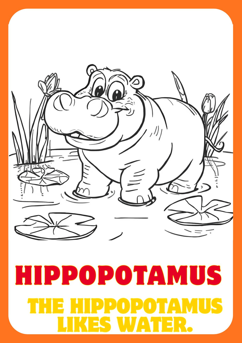 🦁 Zoo Animals Coloring Book for Kids – Printable PDF Coloring Pages 🐘